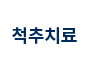 척추치료